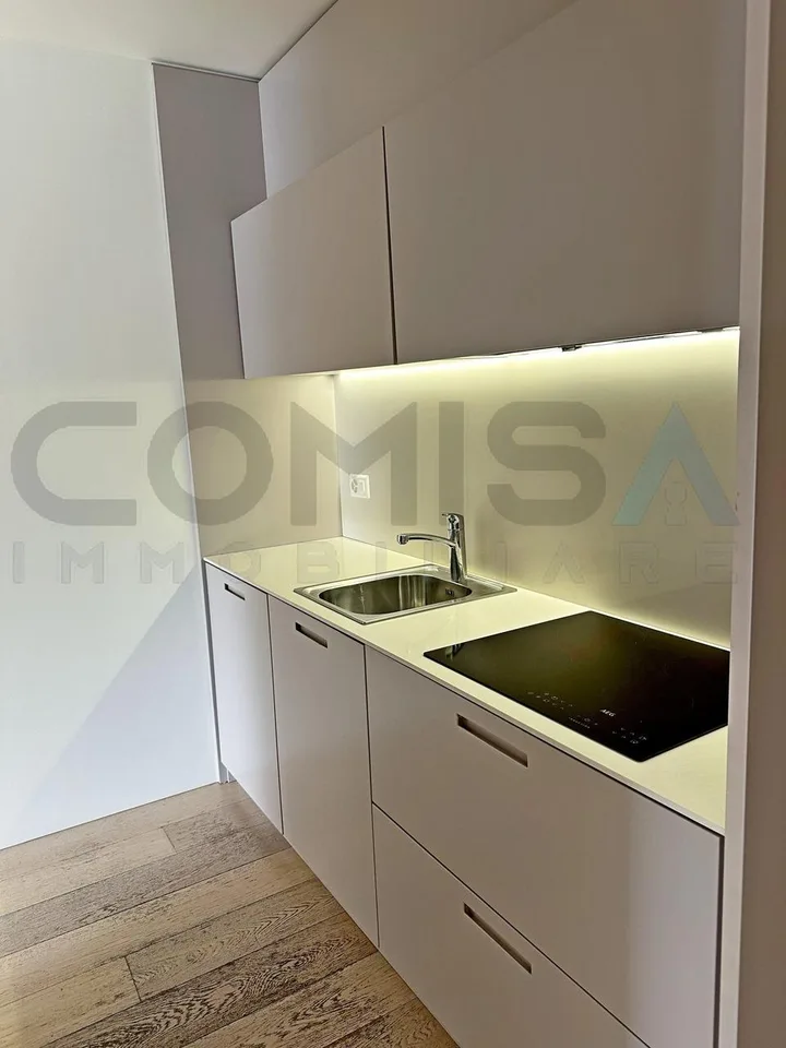 AFFITTASI A CASTAGNOLA Appartamento 2 locali vista lago