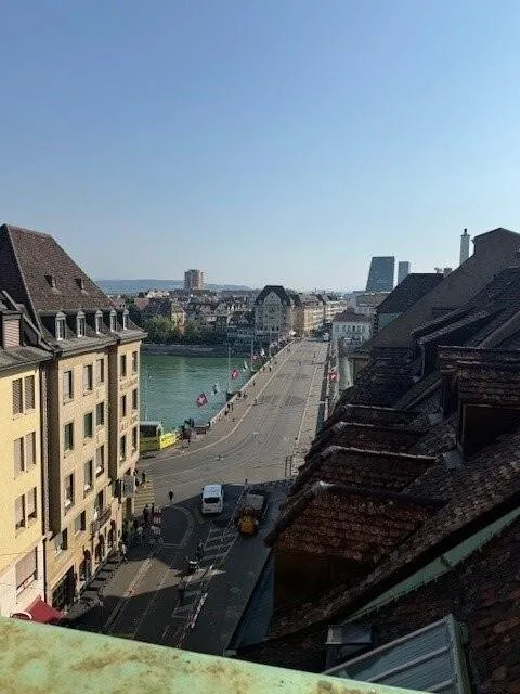 Location pour la première fois avec vue sur le Rhin ! – photo 11 sur 11