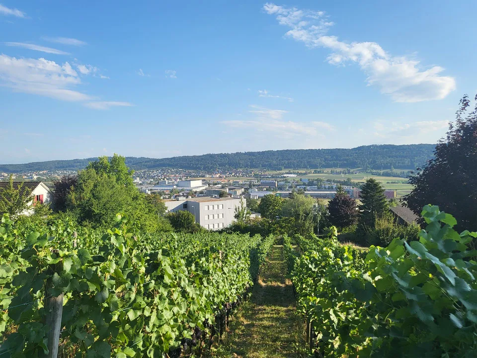 Exklusives Wohnbauland mit unverbaubarer Weitsicht in der Gemeinde ...