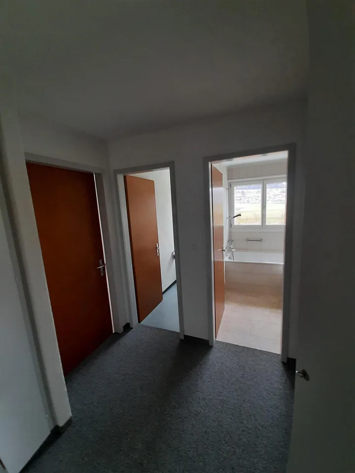 3.5 Zimmer Wohnunh mit wunderbarer Ausicht