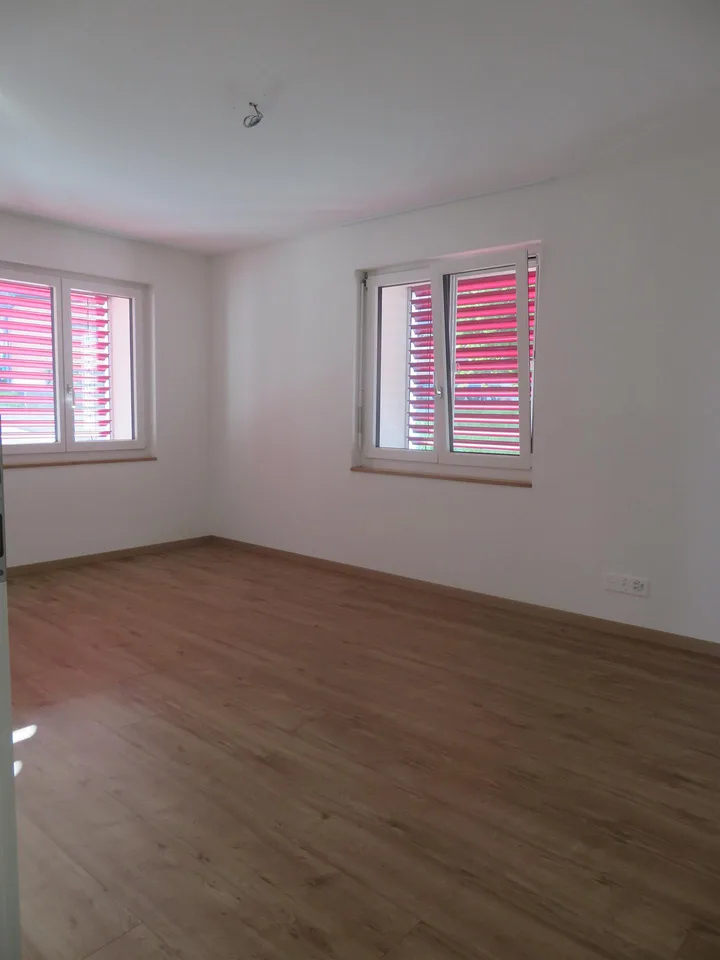 3½ Zimmerwohnung an ruhiger Lage in Hitzkirch zu vermieten