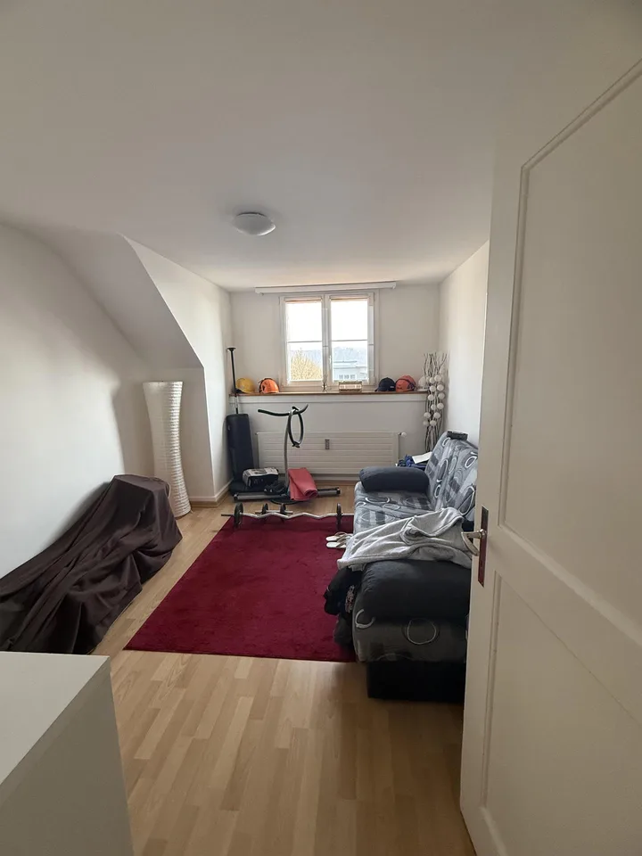 4.5 Zimmerwohnung in Winterberg ZH