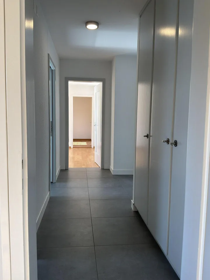 3.0 Zimmerwohnung in Winterthur