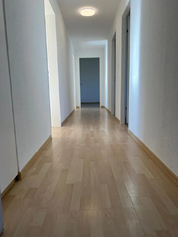 Sonnengeflutete 4.5 Zimmer Wohnung im schönen Thurgau zu vermieten