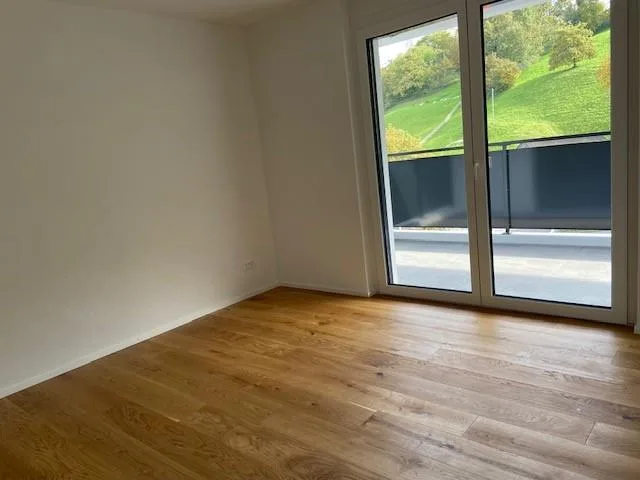 Topmoderne 1.0-Zimmer Neubauwohnung mit traumhafter Bergkulisse