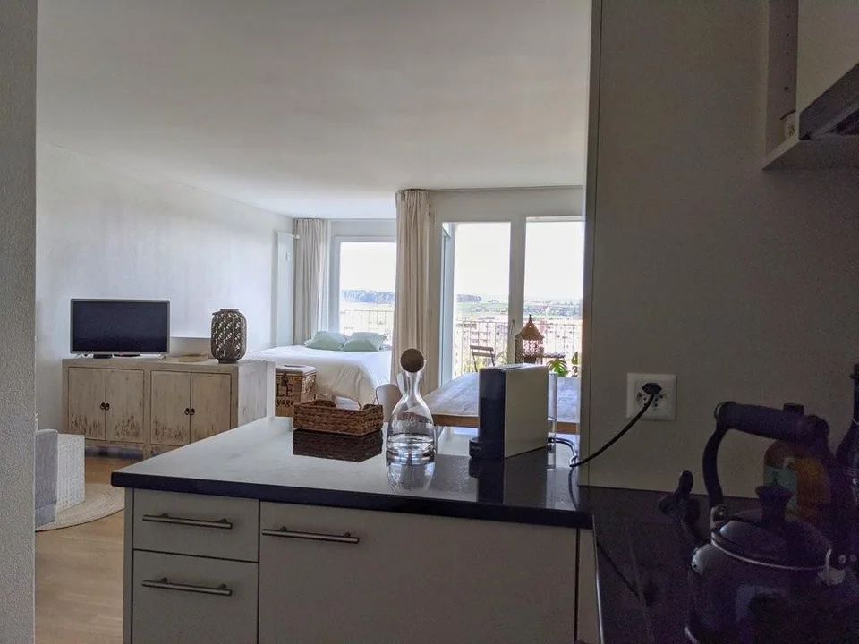 Appartamento moderno di 1,5 locali in affitto in zona verde