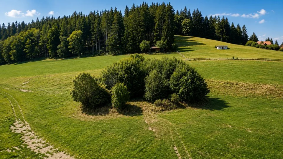 Traumhafte Aussicht, sonnige Lage und viel Potenzial in Speicher