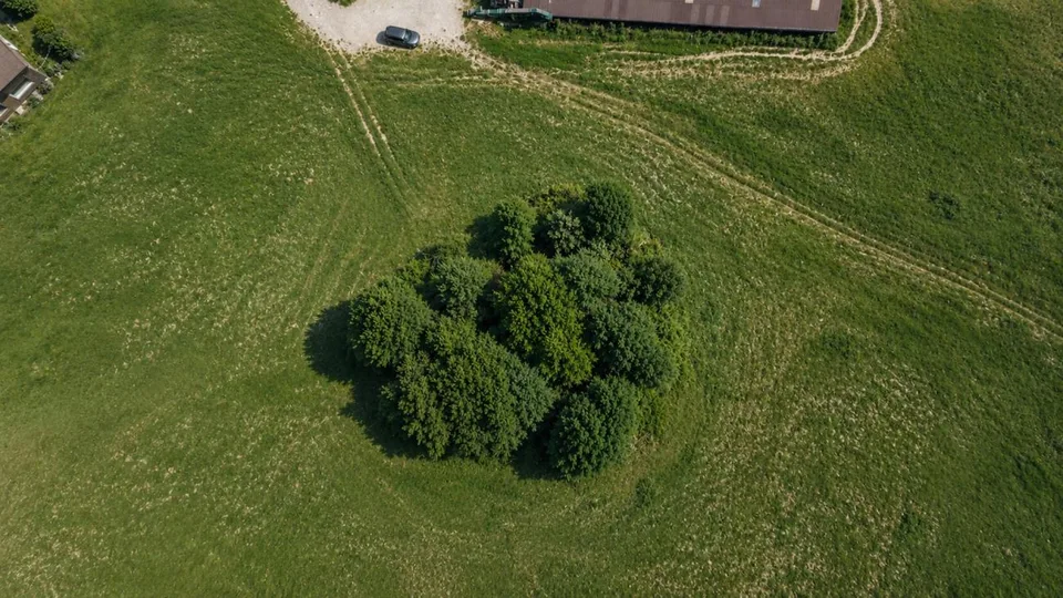 Traumhafte Aussicht, sonnige Lage und viel Potenzial in Speicher
