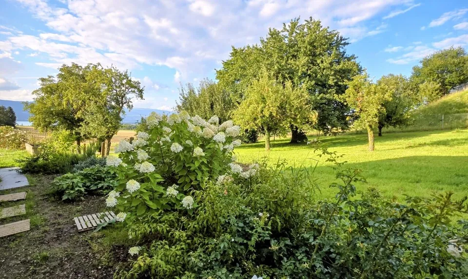 Neue Villa mit Seeblick
