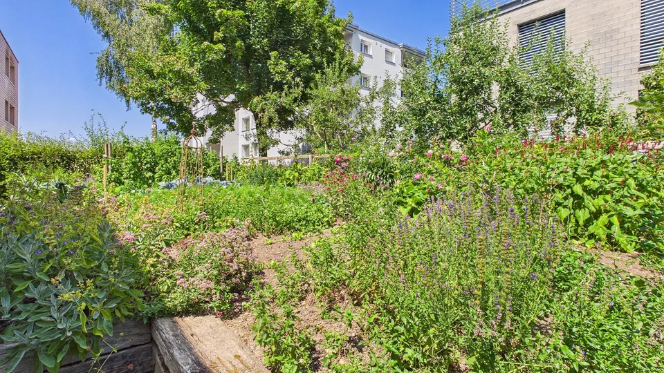 Zeitlose Architektur - viel Platz und Privatsphäre