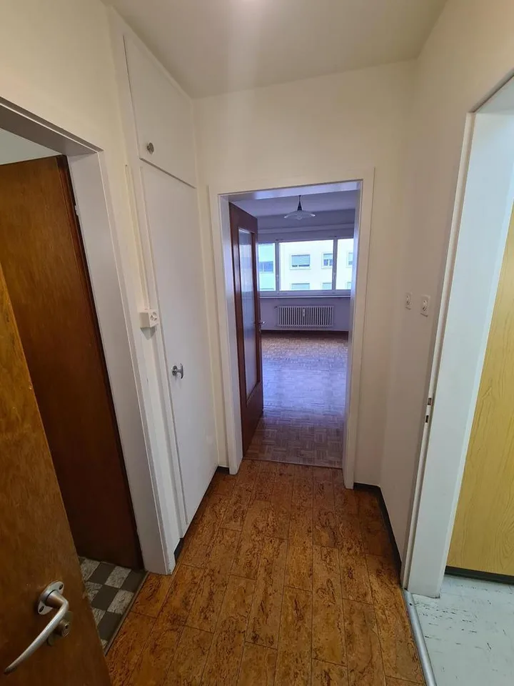 Appartement pratique d'une chambre dans le quartier d'Iselin