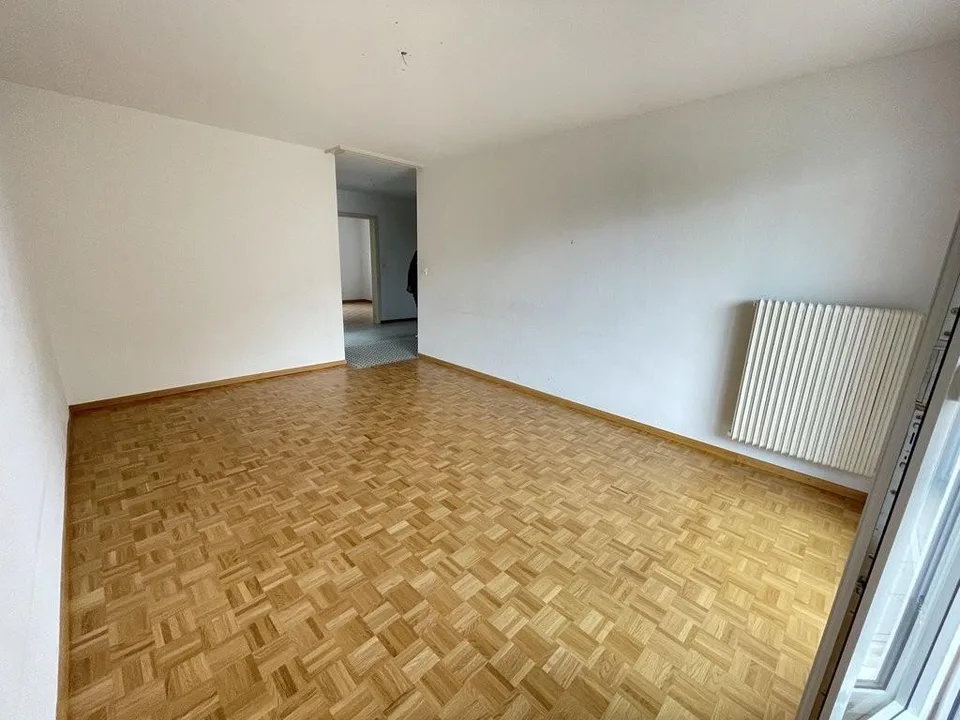 Incantevole appartamento di 3 locali vicino a Friburgo!