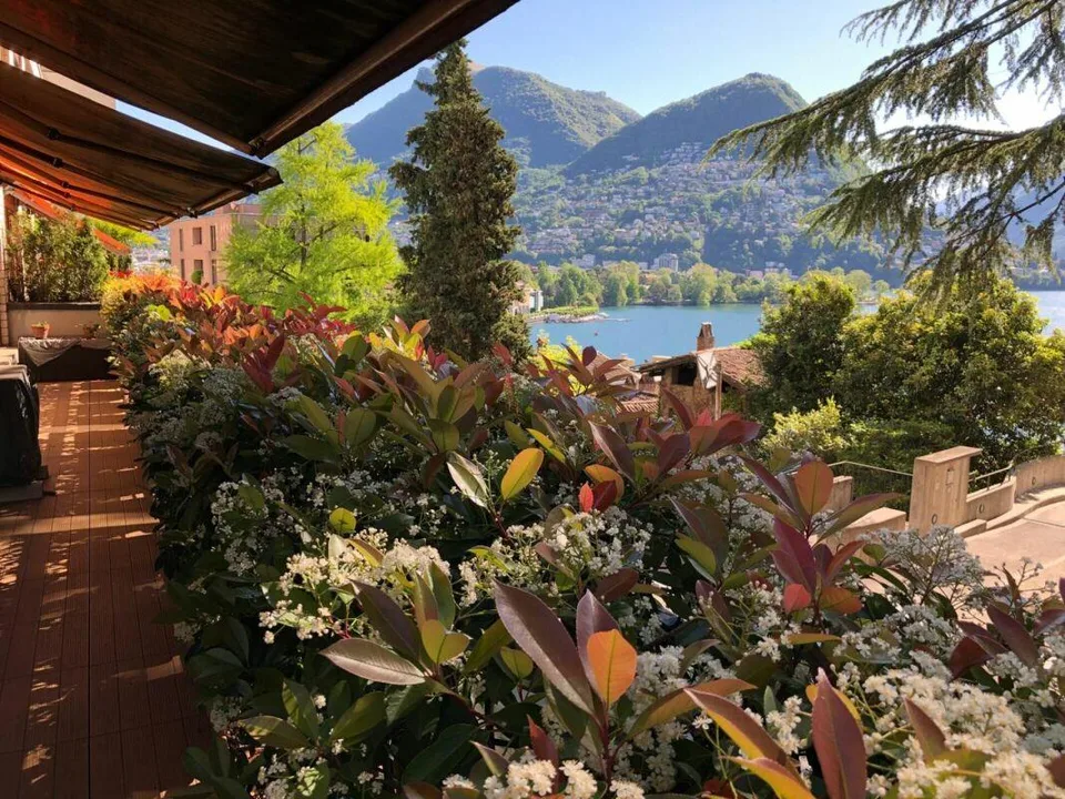 Splendido 3,5 in centro città con vista lago