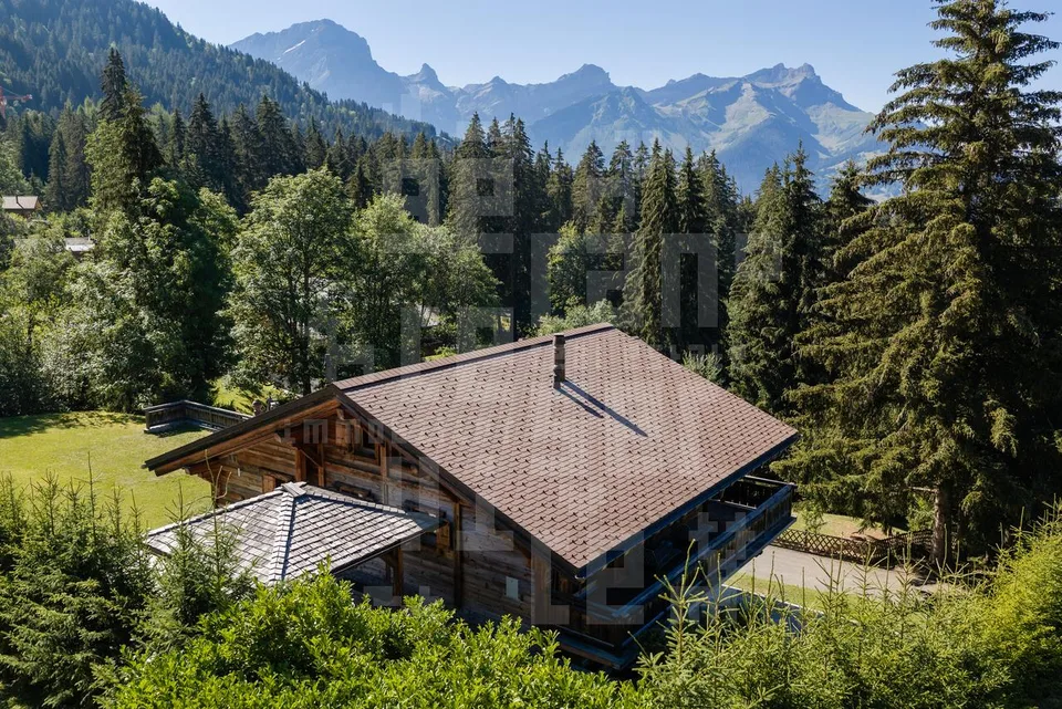 Chalet Dionysia