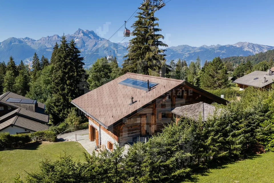 Chalet Dionysia