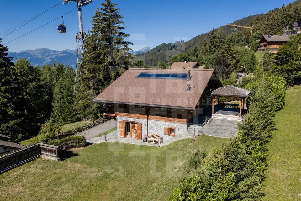 Chalet Dionysia – photo 25 of 30