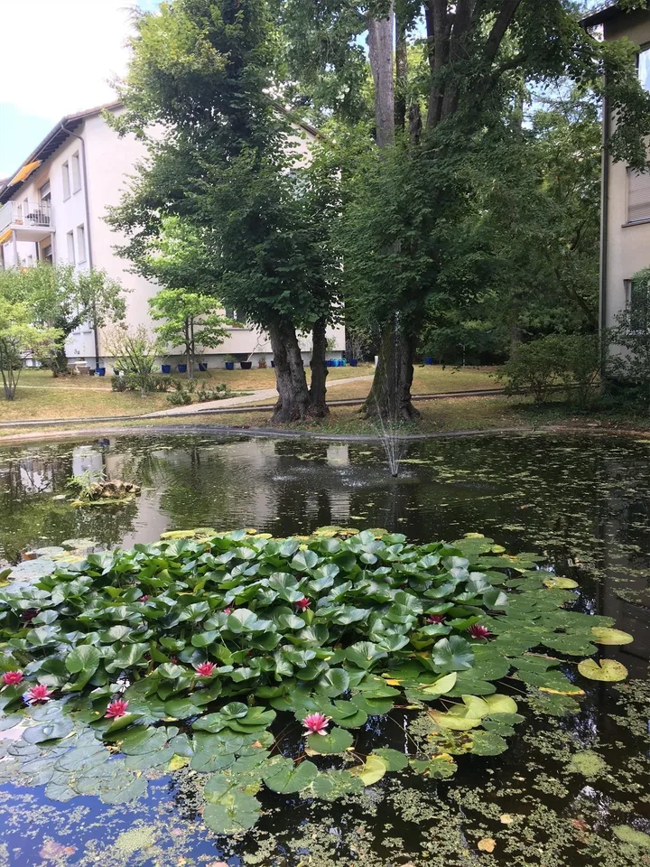 Ruhig gelegene Wohnung im Gellertpark