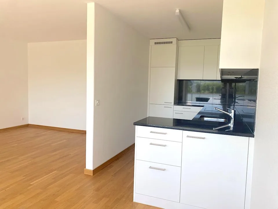 2.5 Zimmer Wohnung mit grossem Balkon und toller Aussicht