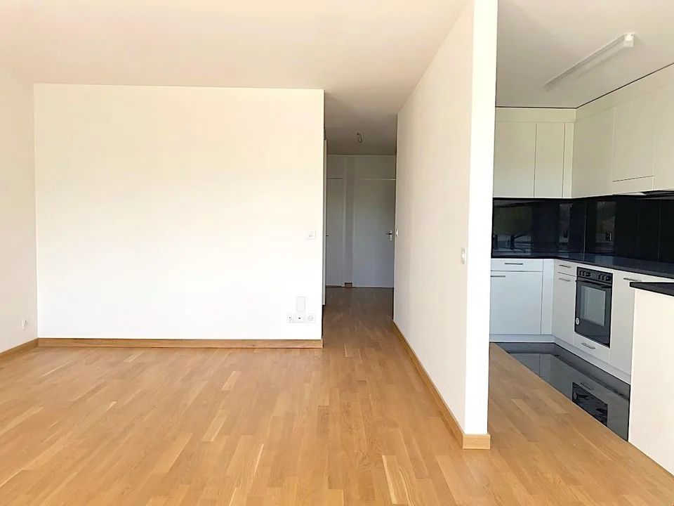 2.5 Zimmer Wohnung mit grossem Balkon und toller Aussicht