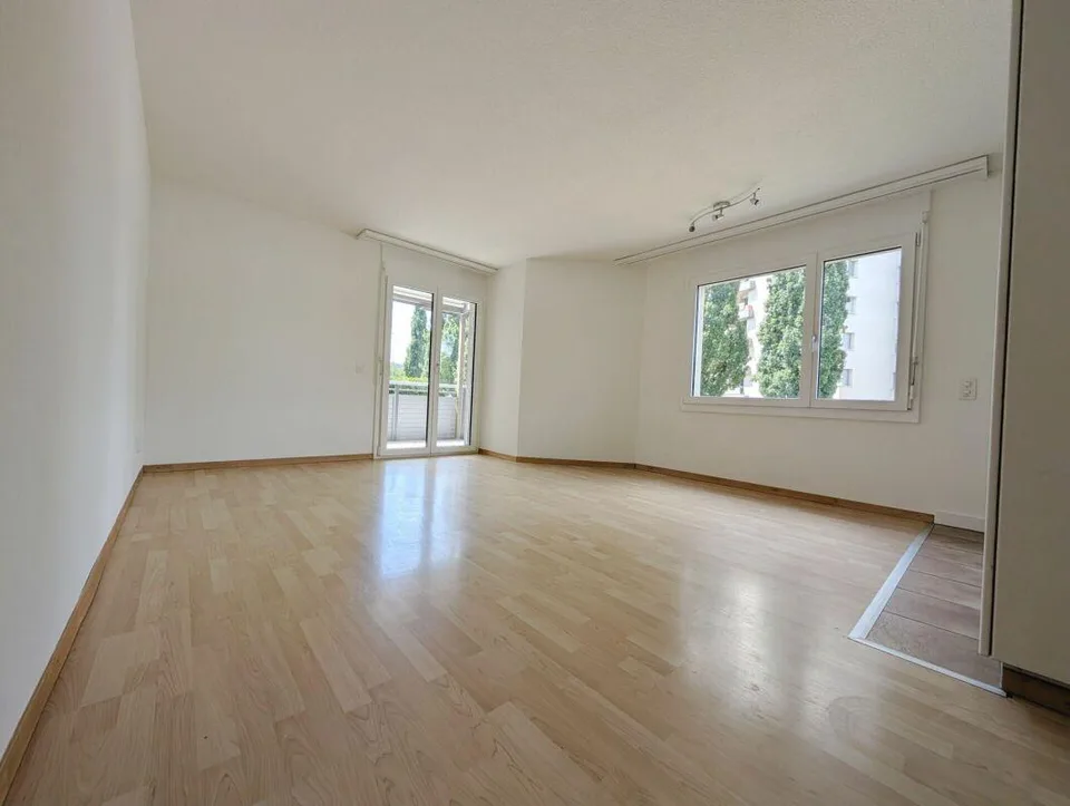 Renovierte 2.5 Zimmer-Wohnung im Hochparterre