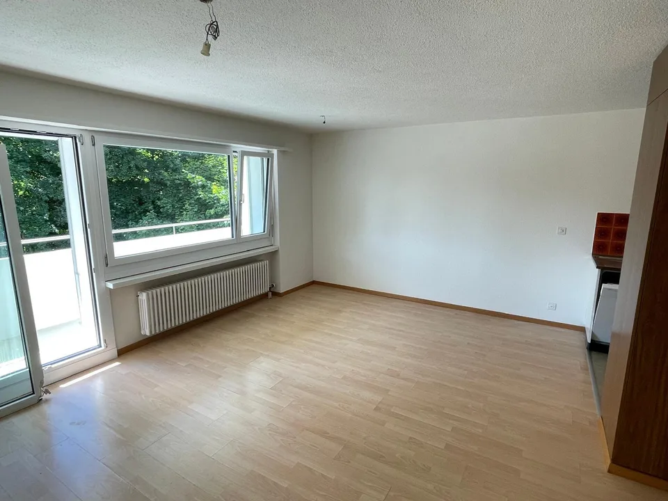 1 Zimmer Wohnung mit Balkon