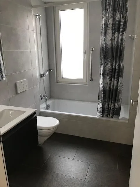 Schöne 3 1/2 Zimmer Wohnung zu vermieten