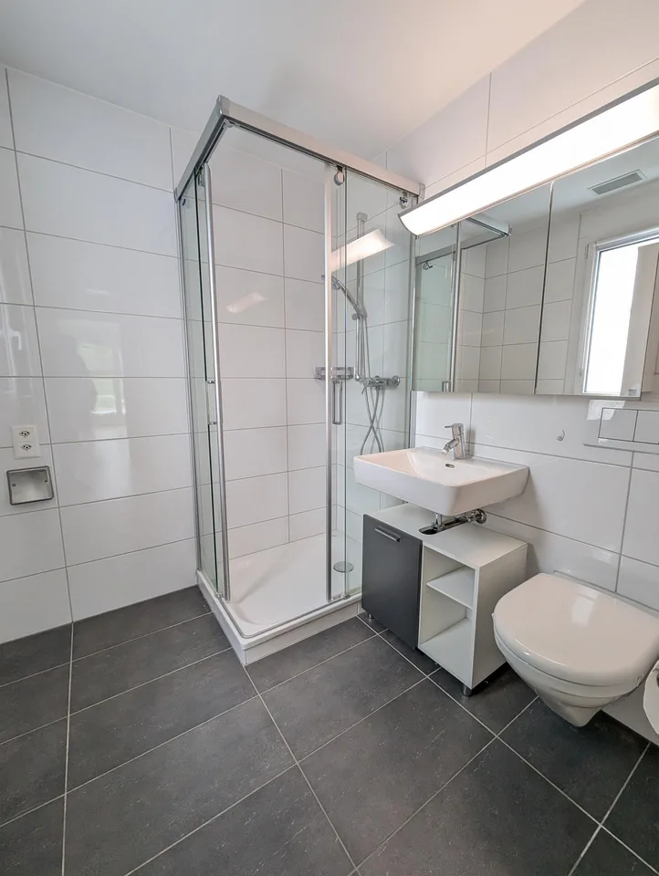 Maison unifamiliale moderne de 5,5 pièces avec norme Minergie à Arisdorf – photo 7 sur 15