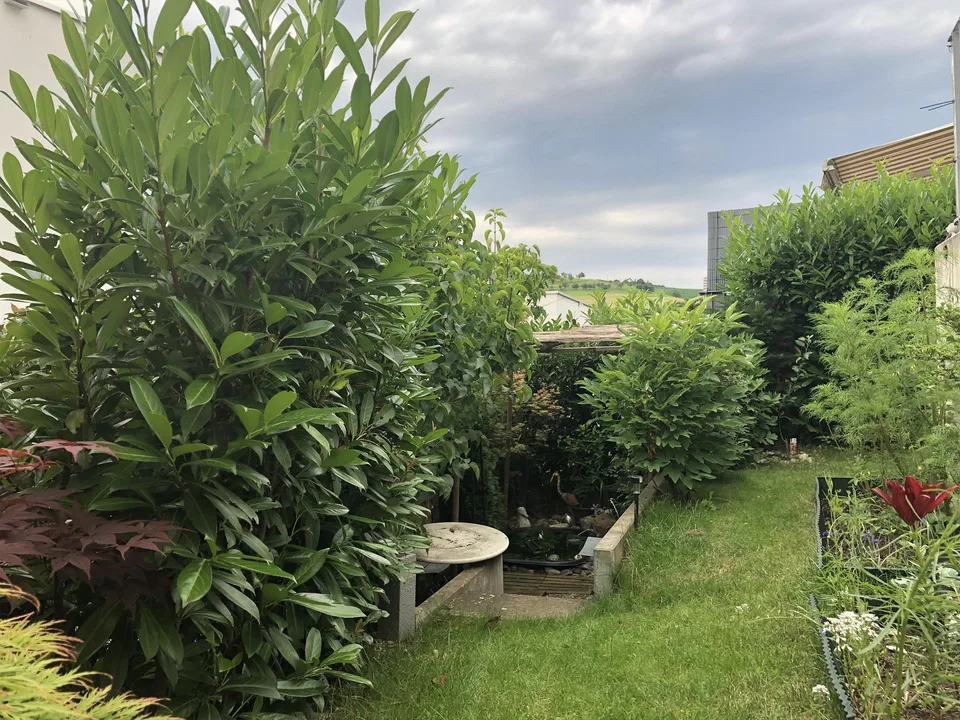 Maison unifamiliale moderne de 5,5 pièces avec norme Minergie à Arisdorf – photo 12 sur 15