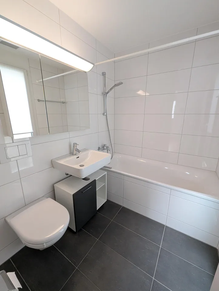 Maison unifamiliale moderne de 5,5 pièces avec norme Minergie à Arisdorf – photo 9 sur 15