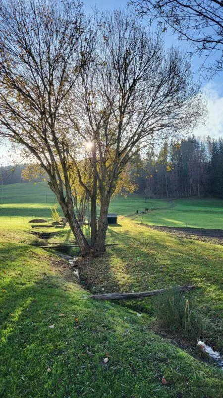 Wohnen am Haldenbach - Nachhaltiger Bau in Ganterschwil – Foto 8 von 8