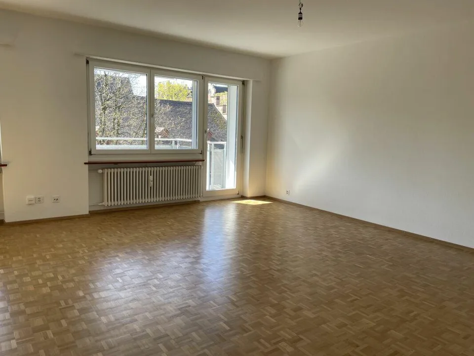 1-Zimmerwohnung nahe Rhein