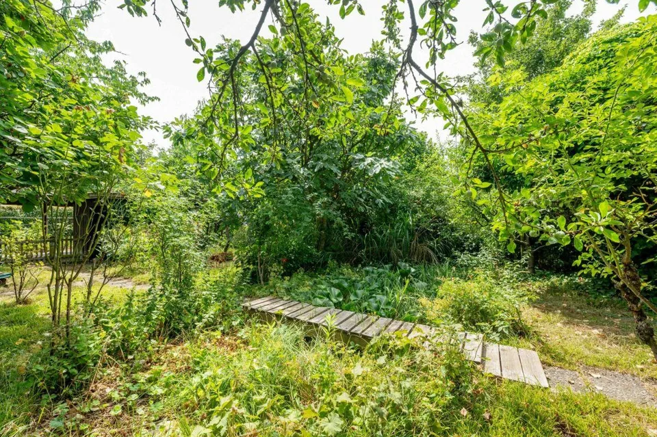 Maison mitoyenne avec un grand jardin paradisiaque idyllique en ville - Votre nouvelle maison – photo 17 sur 18