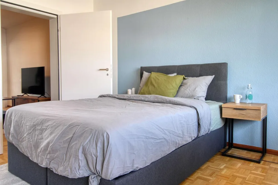 Spacious and Modern Coliving in Grand-Saconnex, Geneva