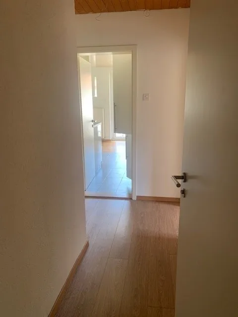 3 Zimmer Wohnung