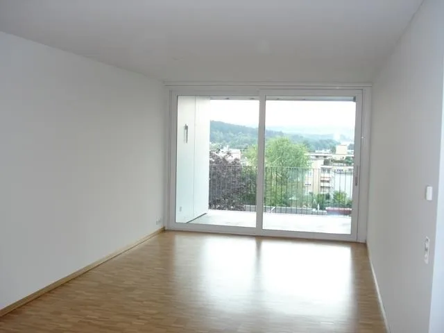 Grosszügige 2.5-Zimmer-Wohnung in Zürich-Seebach