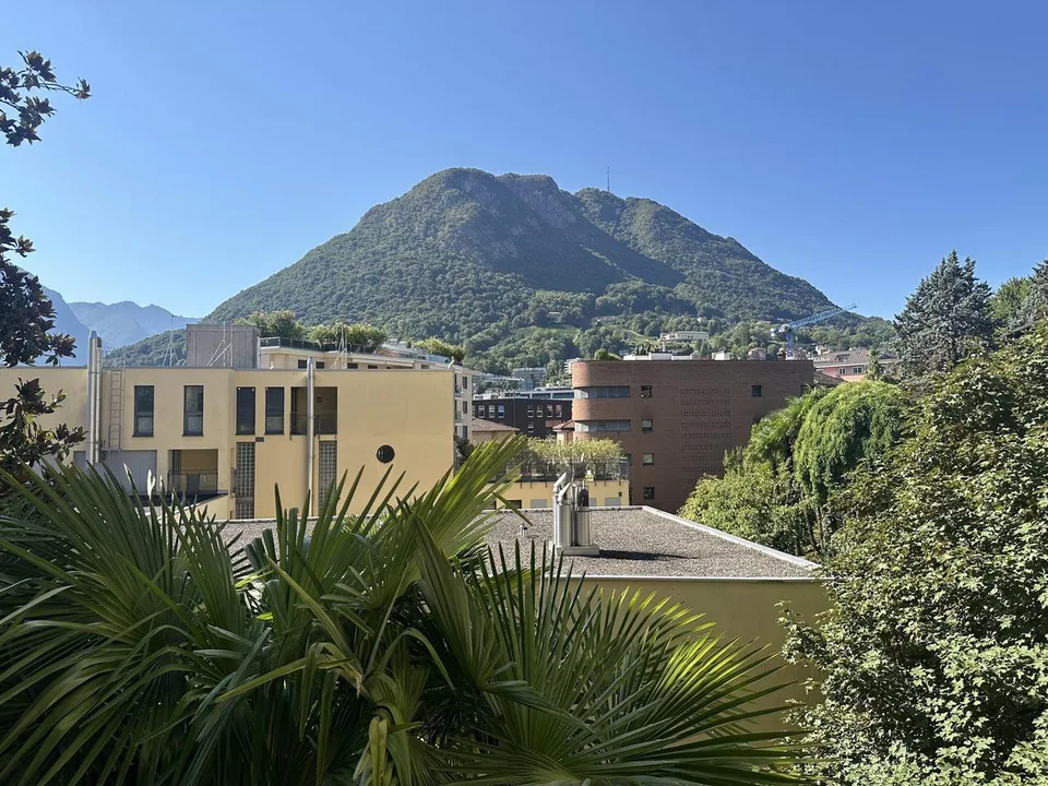 LUGANO CENTRO Appartamento signorile di 10.5 locali con giardino – foto 12 di 12
