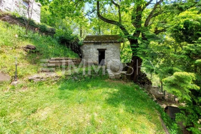 Charmantes Tessiner Rustico mit Offener Aussicht
