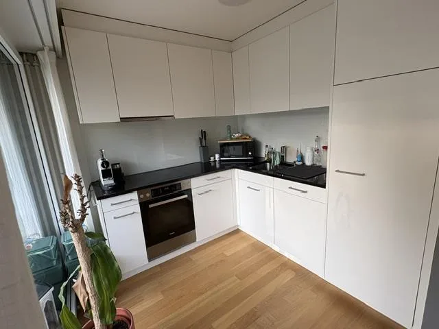 2.5 Zi-Wohnung Luzern