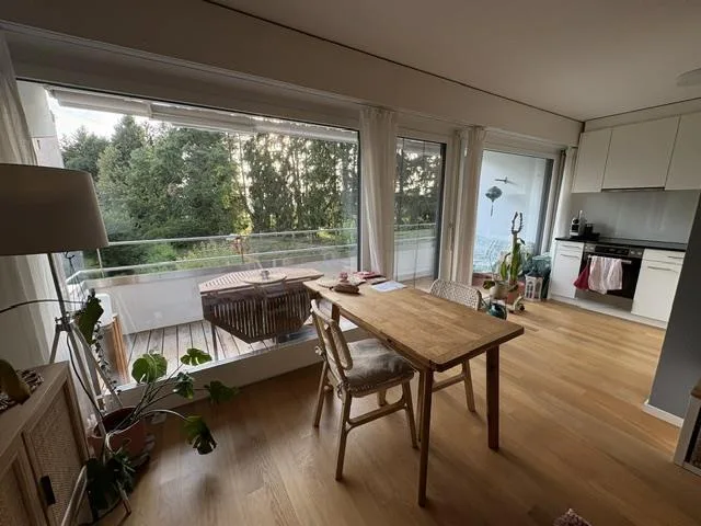 2.5 Zi-Wohnung Luzern