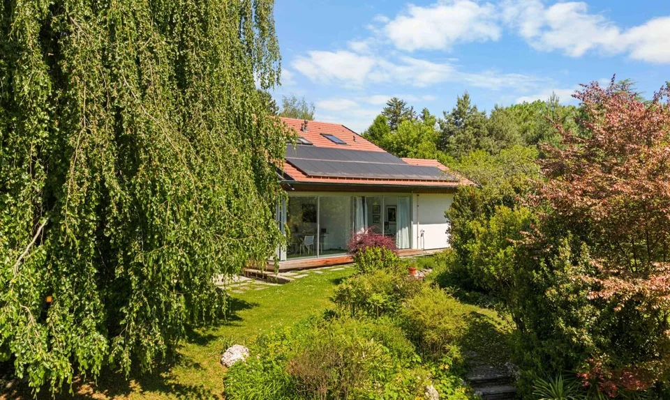 Maison entouré d'arbres majestueux