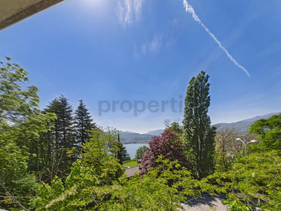 Spacieuse villa de 9 pièces avec vue sur le lac, Viganello (ou investissement pour les constructeurs, voir description) – photo 26 sur 28