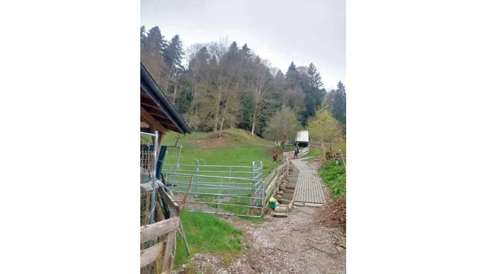 4½ ZIMMER-HAUS IN WATTWIL (SG), MÖBLIERT, TEMPORÄR