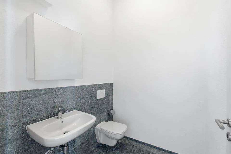 Exklusive 2.5-Zimmer-Loftwohnung direkt am Rhein – foto 9 di 23