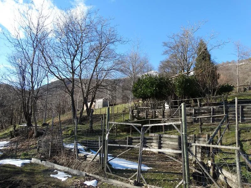 PRATO PER CAVALLI