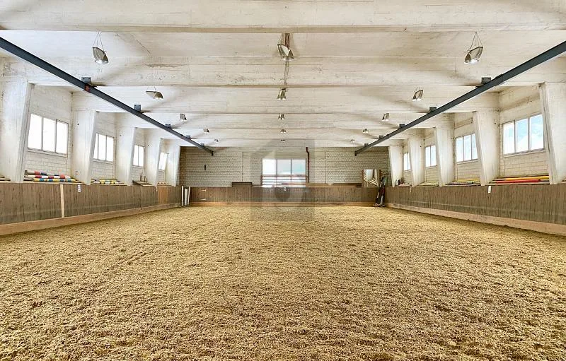 FERIEN GENIESSEN MIT DEM EIGENEN PFERD