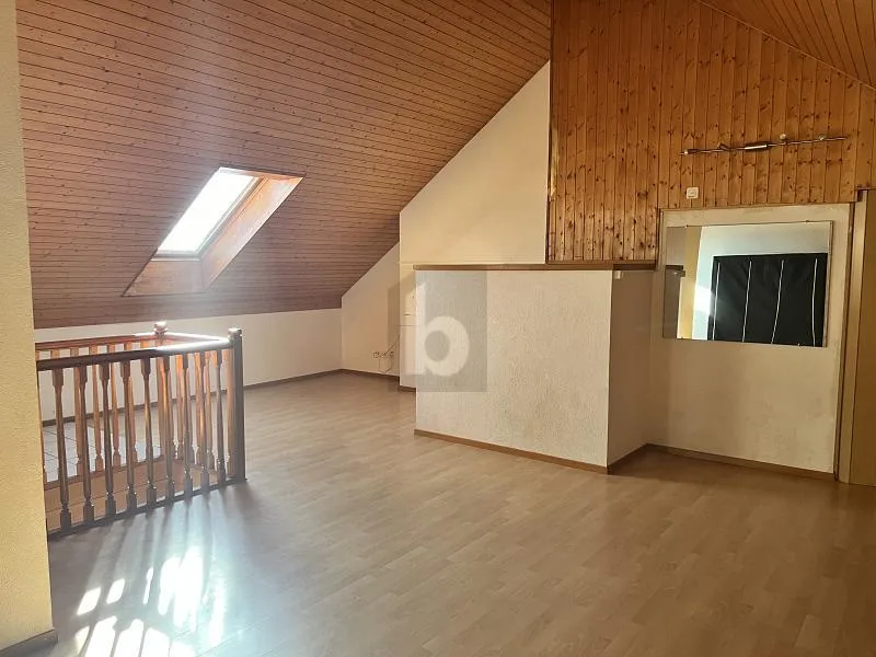 MAGNIFIQUE DUPLEX ATYPIQUE ET SPACIEUX