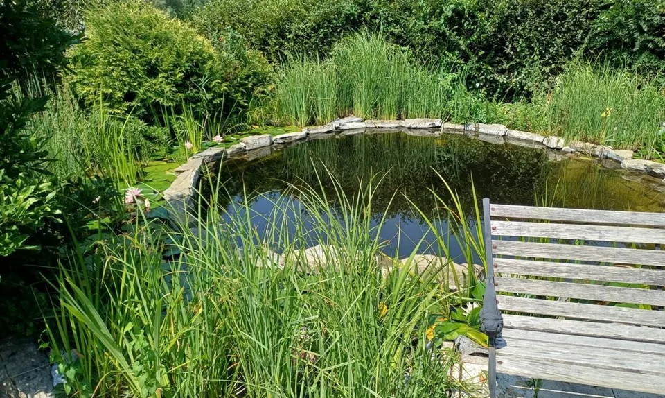 Entre parc naturel et vie urbaine : un havre d'exception à Lausanne