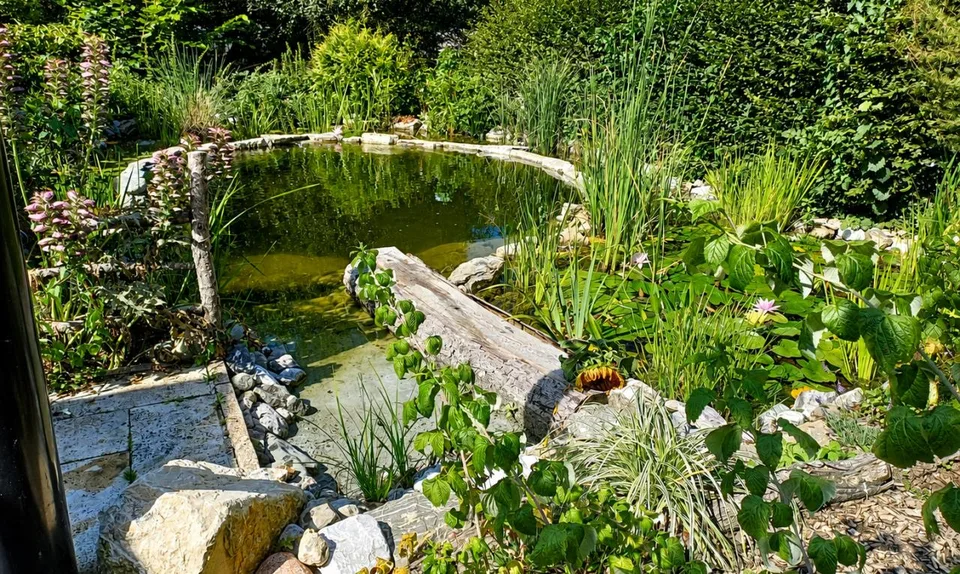 Entre parc naturel et vie urbaine : un havre d'exception à Lausanne