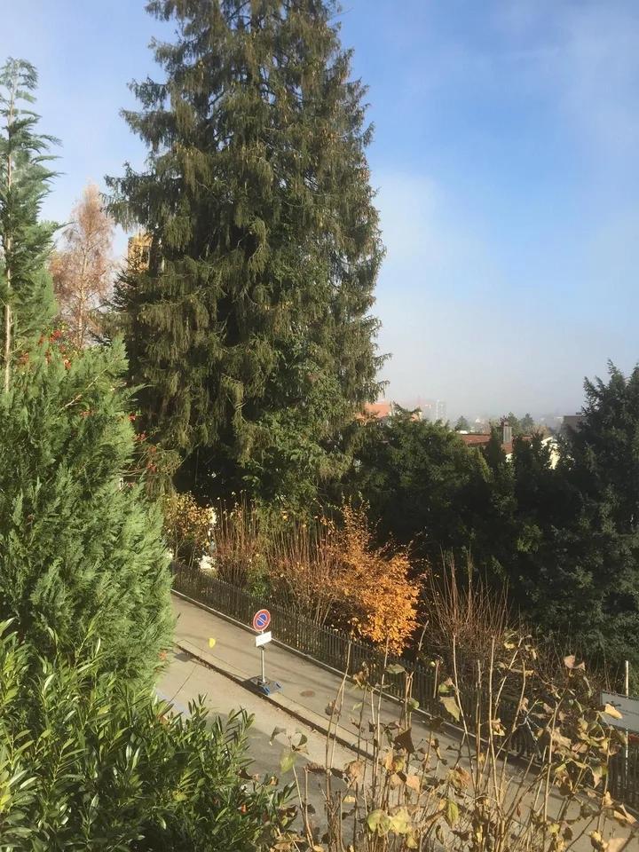 Grosszügige u. geschmackvolle Stadtwohnung am Rosenberg mit 2 Balkonen