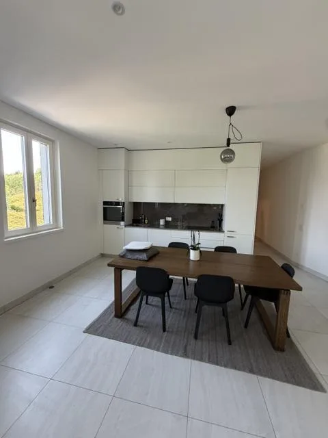 New spacious 3.5 room apartments in the very heart of Montagnola